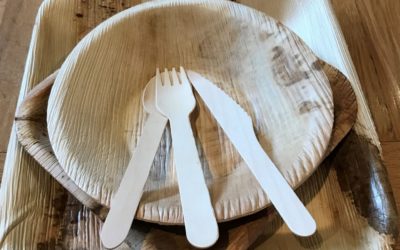 NEW – Compostable tableware! Palm leaf plates and bowls
